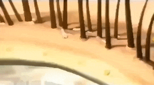 洗头干发神器！养出女明星绸缎发！冰球突破国产变态“抽水帽”入冬(图14)