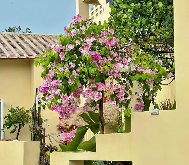 钱？北海亲子游5天4晚价格跟团五日游报价冰球突破豪华版手机版北海亲子跟团游多少(图4)