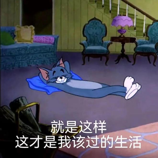决家里不舒服的小事日子真的会变爽！冰球突破豪华版手机版花几十块钱解(图6)